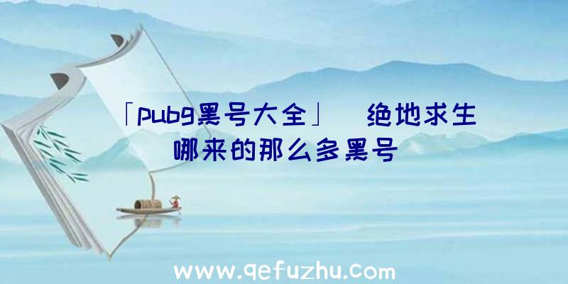 「pubg黑号大全」|绝地求生哪来的那么多黑号